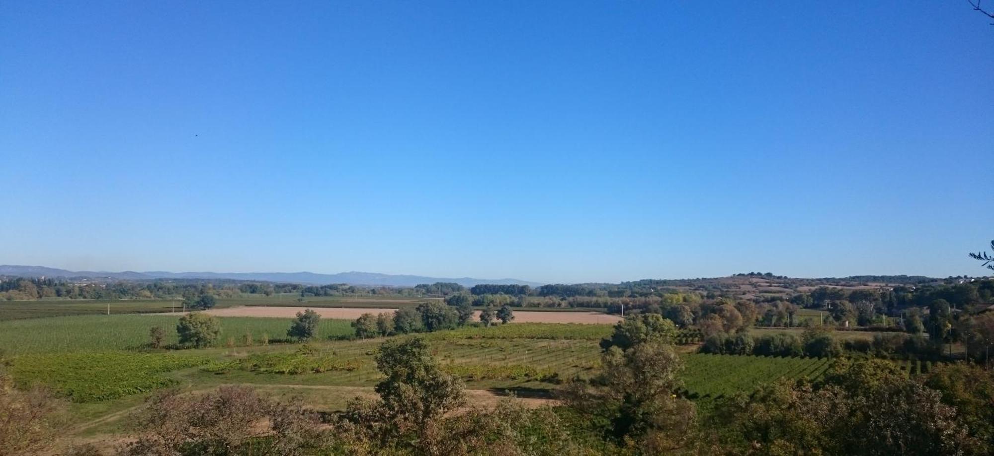 Camping Les Amandiers Castelnau-de-Guers 外观 照片